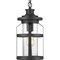 Progress Lighting Haslett Collection One-Light Hanging Lantern P550031-031 - alternate 4